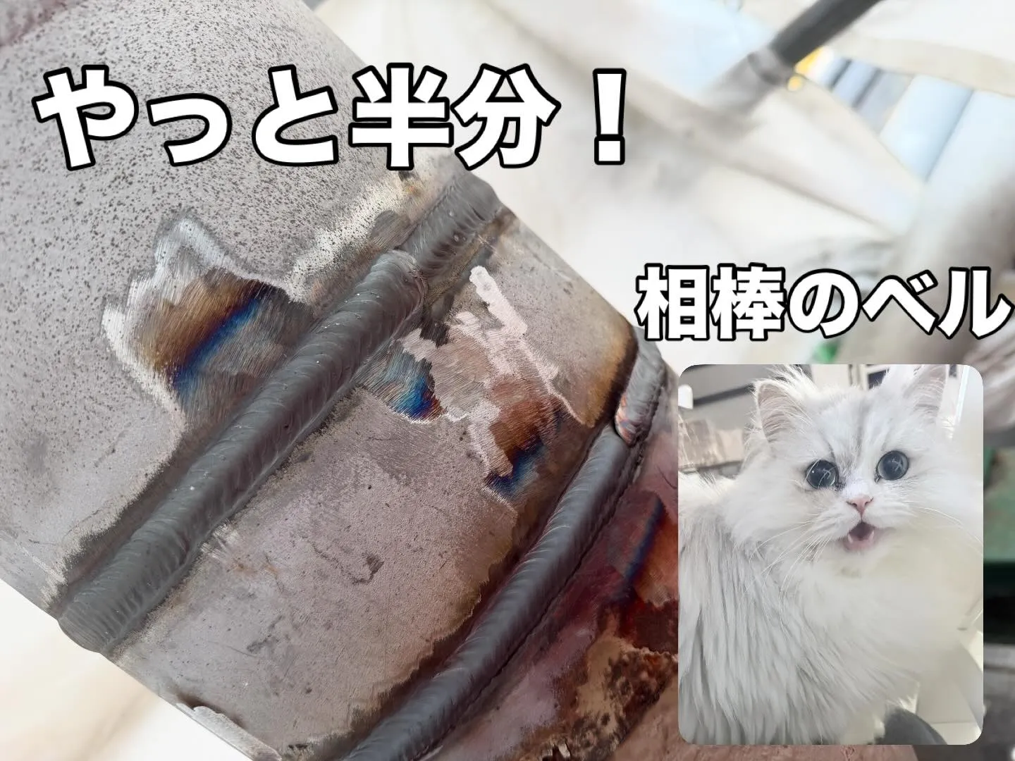 やっと半分まで来ました！